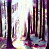 20 Waldlicht Aquarell  (650x455)
